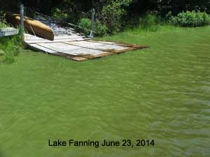 cyanophytes/algae_pictures/Lake_Fanning_2014/2014-23_June_Lake_Fanning1s.jpg